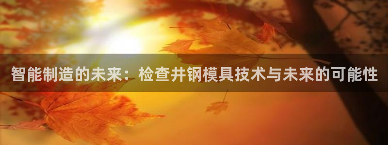 太阳集团游戏官方网址老字号：智能制造的未来：检查井钢模具技术与未来的可能性