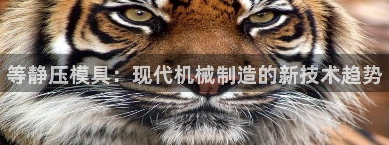 太阳 官网：等静压模具：现代机械制造的新技术趋势