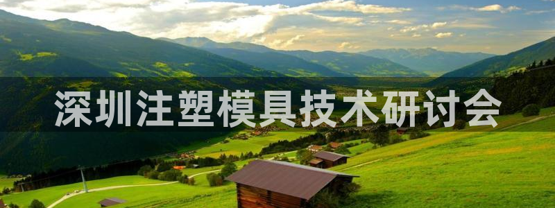 奥门太阳集团城：深圳注塑模具技术研讨会