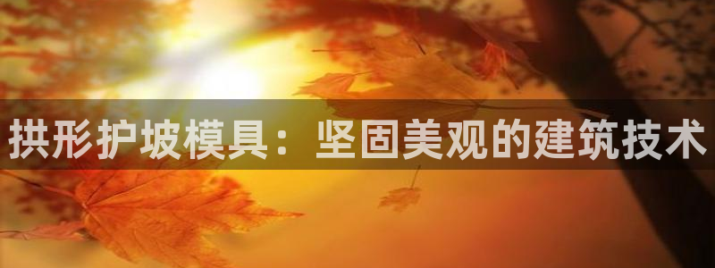 太阳集团是什么平台?
