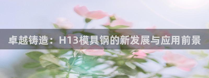 太阳软件：卓越铸造：H13模具钢的新发展与应用前景