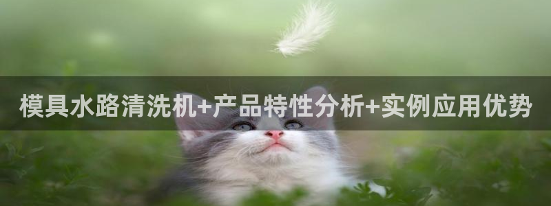 太阳集团手机app：模具水路清洗机+产品特性分析+实例应用优势