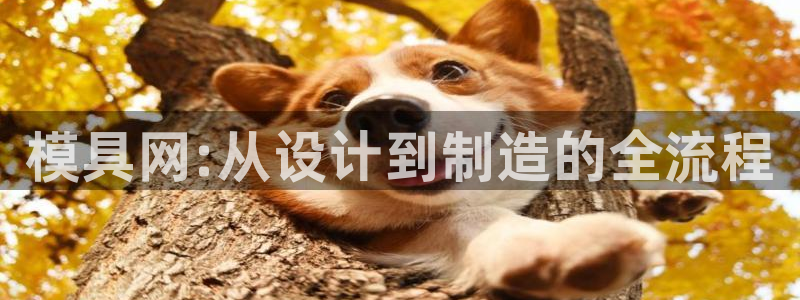 太阳老板是谁：模具网:从设计到制造的全流程