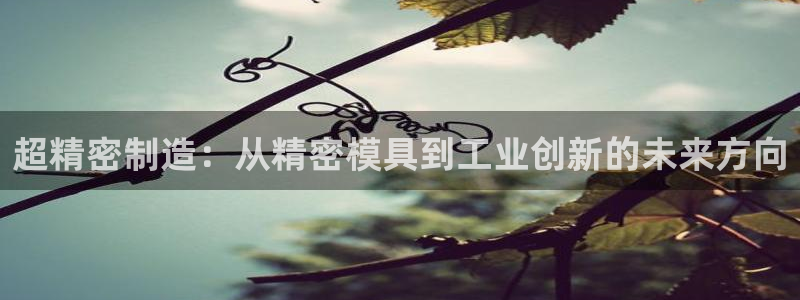 太阳gg在线测速登录：超精密制造：从精密模具到工业创新的未来方向