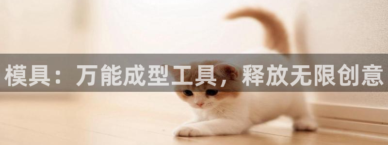 太阳集团网址：模具：万能成型工具，释放无限创意