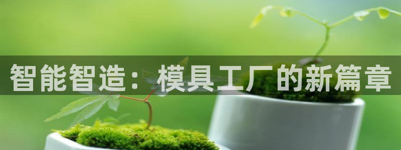 太阳地产集团：智能智造：模具工厂的新篇章