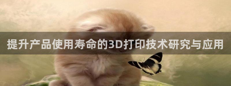 太阳电竞