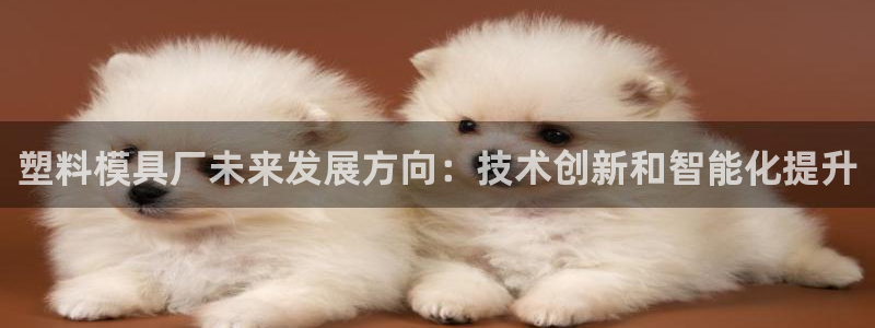 太阳集团电子游戏登录：塑料模具厂未来发展方向：技术创新和智能化提升