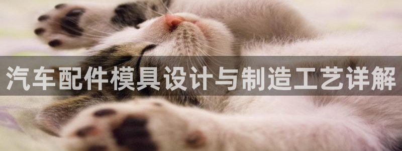 太阳成集团tyc7111cc的研发体系：汽车配件模具设计与制造工艺详解