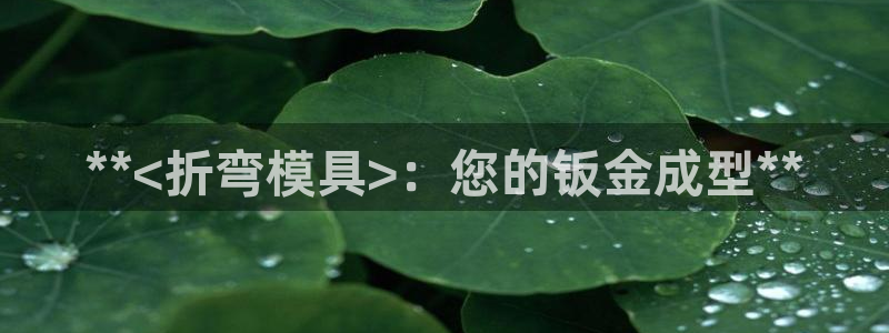 太阳游戏城app：**<折弯模具>：您的钣金成型**