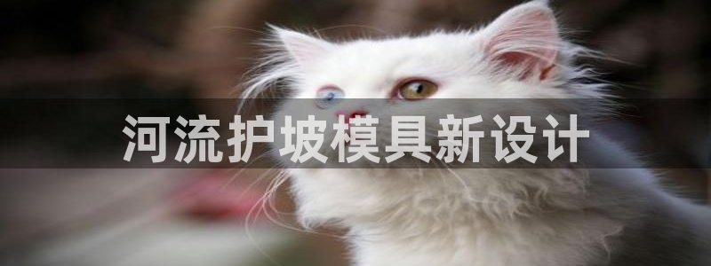 太阳集团城网址娱网首页：河流护坡模具新设计