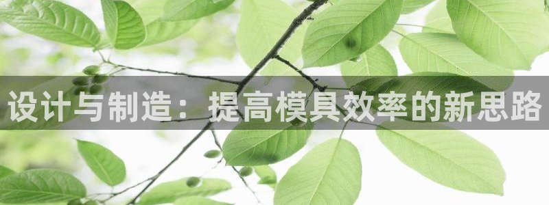 太阳成集团控股官网