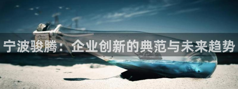 高淳红太阳集团：宁波骏腾：企业创新的典范与未来趋势