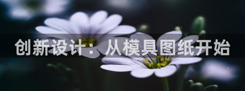 太阳成集团老板照片：创新设计：从模具图纸开始