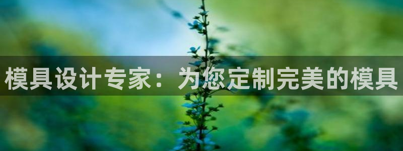 太阳集团2018登录网址查询：模具设计专家：为您定制完美的模具