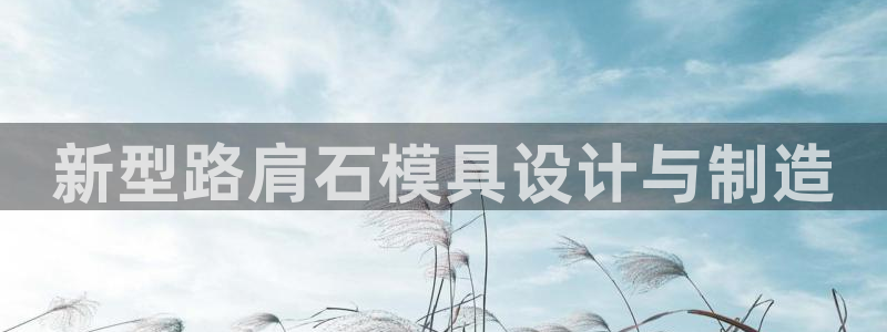 太阳成集团tyc234cc福利：新型路肩石模具设计与制造