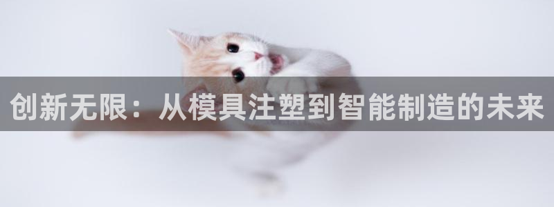 太阳阳城集团有限公司：创新无限：从模具注塑到智能制造的未来