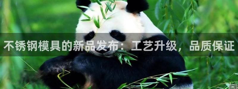 太阳集团控股有限公司