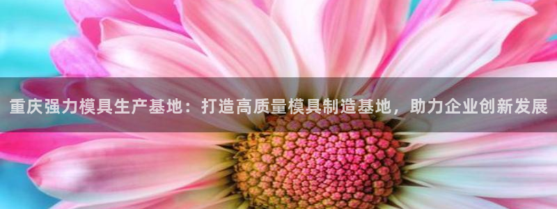 太阳集团电子游戏APP登录入口：重庆强力模具生产基地：打造高质量模具制造基地，助力企业创新发展