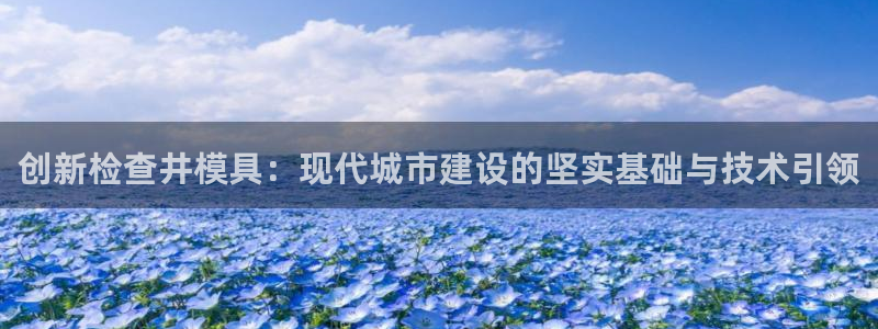 太阳app下载安装：创新检查井模具：现代城市建设的坚实基础与技术引领