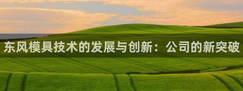 太阳集团下载链接：东风模具技术的发展与创新：公司的新突破
