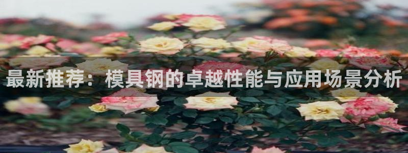 太阳集团tcy8722-主页|欢迎您：最新推荐：模具钢的卓越性能与应用场景分析
