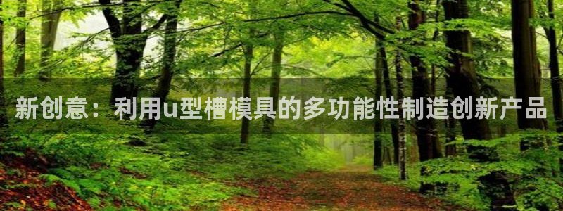 太阳1城集团网址：新创意：利用u型槽模具的多功能性制造创新产品