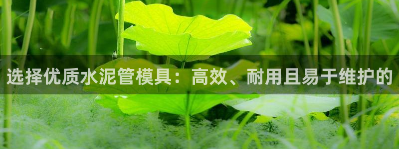 ag太阳集团：选择优质水泥管模具：高效、耐用且易于维护的