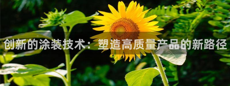 太阳gg官方网站：创新的涂装技术：塑造高质量产品的新路径