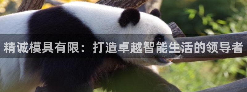 太阳app怎么下载：精诚模具有限：打造卓越智能生活的领导者
