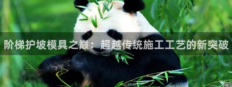 太阳地产老板：阶梯护坡模具之巅：超越传统施工工艺的新突破