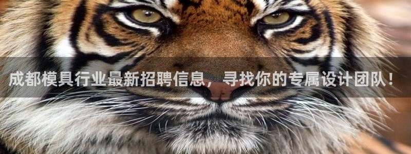太阳诚集团有限公司有多少人
