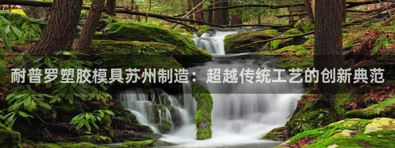 太阳成集团老板是谁