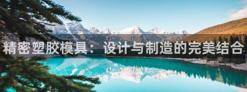 太阳app官网下载入口：精密塑胶模具：设计与制造的完美结合