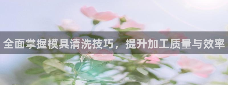 太阳http下载：全面掌握模具清洗技巧，提升加工质量与效率