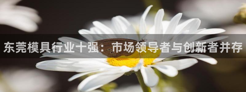 太阳集团电子游戏(中国)有限公司：东莞模具行业十强：市场领导者与创新者并存